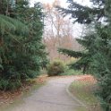Geografisches Arboretum Rombergpark am 17,102018 (61)